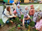 Природоохранная кампания "Первоцветы - вестники весны"