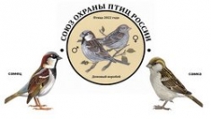 Экологическая акция "Международные дни наблюдения птиц"