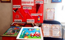 Областной этап Всероссийского конкурса детско-юношеского творчества по пожарной безопасности «Неопалимая купина»