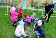 Природоохранная кампания  «Зеленые легкие планеты» в детском саду
