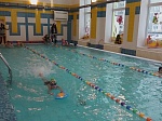 Веселые старты по плаванию