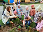 Природоохранная кампания "Первоцветы - вестники весны"