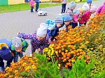 Природоохранная кампания «Наблюдай! Изучай! Действуй!»