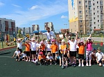 День скейтбординга