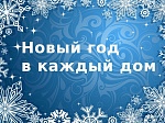 Всероссийская акция "Новый год в каждый дом"