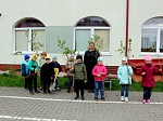 Международная акция "САД ПАМЯТИ"
