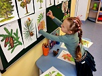 Природоохранная кампания «Наблюдай! Изучай! Действуй!»