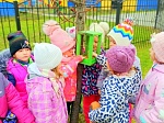 Природоохранная кампания "Орнитологический марафон"