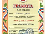 Безопасный Новый год