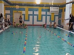 Веселые старты по плаванию