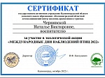 Экологическая акция "Международные дни наблюдения птиц"