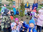 Природоохранная кампания "Первоцветы - вестники весны"