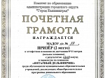 Наши почётные грамоты в первенстве по плаванию «Янтарный Дельфинчик»