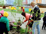 Международная акция "САД ПАМЯТИ"