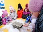 Природоохранная кампания "Орнитологический марафон"