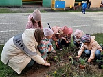 Природоохранная кампания "Первоцветы - вестники весны"
