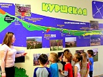 Природоохранная кампания  «Дни действий в защиту Балтики» в детском саду