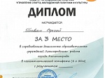 Результаты участия команды детского сада в Спартакиаде муниципальных дошкольных образовательных учреждений