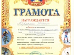 Терехин Денис занял I место в соревнованиях по плаванию с помощью работы ног среди мальчиков
