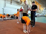 Соревнования дошкольных образовательных учреждений г. Калининграда