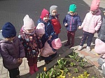 Методическая неделя