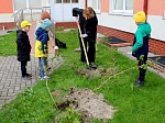 Международная акция "САД ПАМЯТИ"
