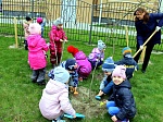 Природоохранная кампания  «Зеленые легкие планеты» в детском саду