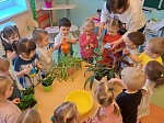 Методическая неделя