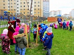 Природоохранная кампания  «Зеленые легкие планеты» в детском саду