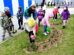 Природоохранная кампания  «Зеленые легкие планеты» в детском саду