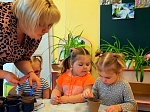Природоохранная кампания "Первоцветы - вестники весны"