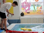 Муниципальный отборочный этап первенства по плаванию "Янтарный дельфинчик" 