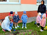 Природоохранная кампания "Первоцветы - вестники весны"