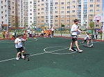 День скейтбординга