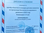 Областной конкурс детских плакатов по пропаганде безопасности дорожного движения