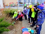 Природоохранная кампания "Первоцветы - вестники весны"