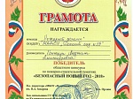 Безопасный Новый год