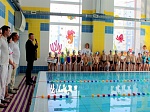 Отборочный этап первенства по плаванию «Янтарный дельфинчик»