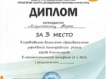 Результаты участия команды детского сада в Спартакиаде муниципальных дошкольных образовательных учреждений