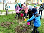 Природоохранная кампания  «Зеленые легкие планеты» в детском саду